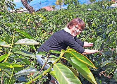 Rita Bijnens helpt lokale boeren bij het plukken van koffiebessen. © ngo Trias